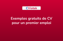 Exemples Cv Avec Beaucoup D Exp Rience Professionnelle