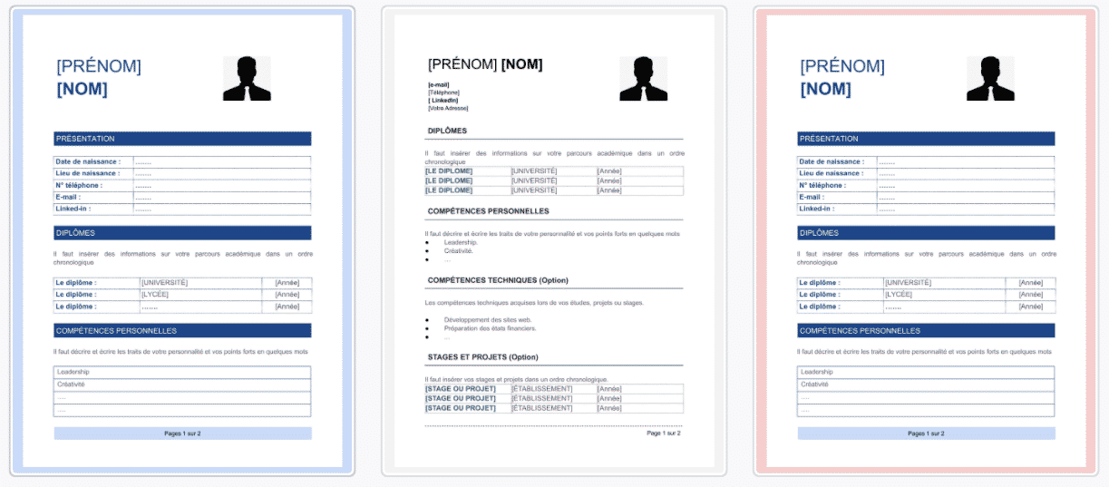 Cv Avec Beaucoup D Experience Modele Et Exemples A Telecharger