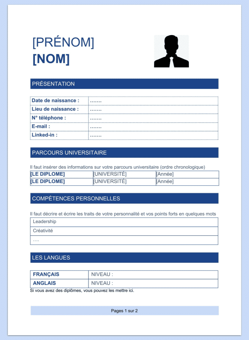 Exemples De Cv Pour Un Job D T Mod Les Word Gratuits Suivre